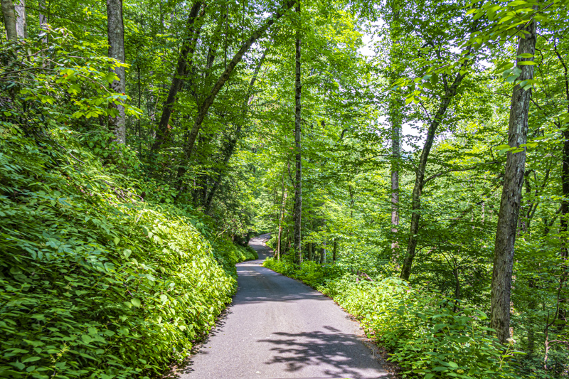 Roaring Fork Motor Nature Trail