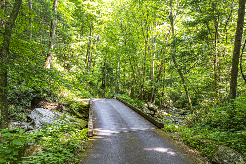 Roaring Fork Motor Nature Trail
