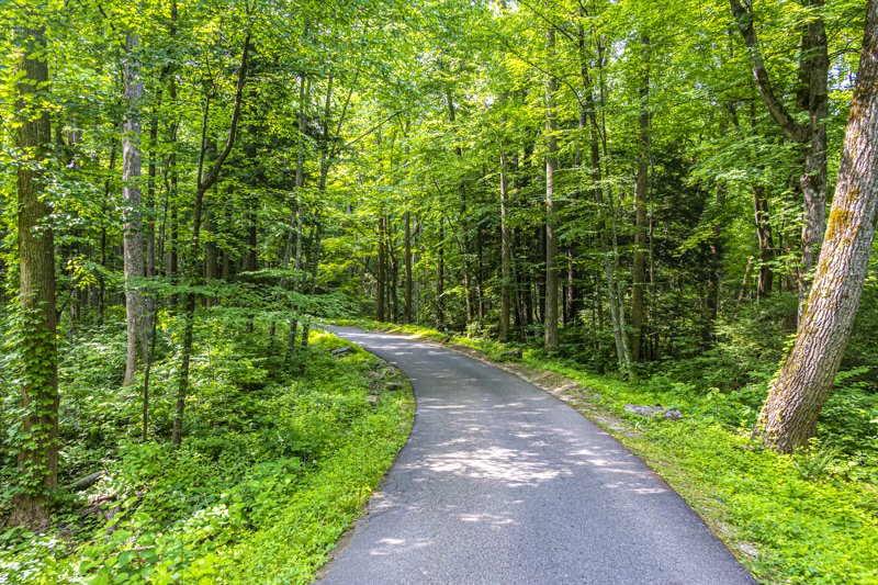 Roaring Fork Motor Nature Trail