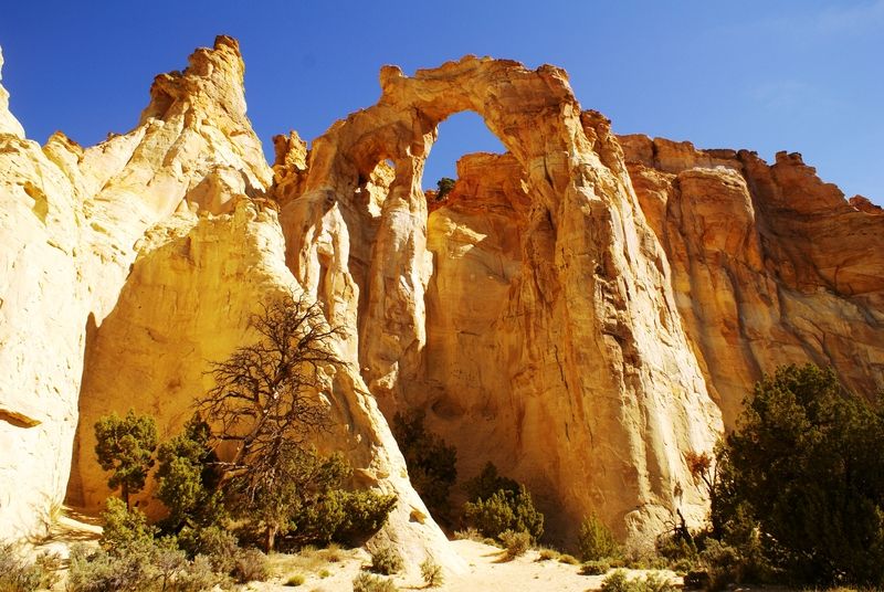 Grosvenor Arch