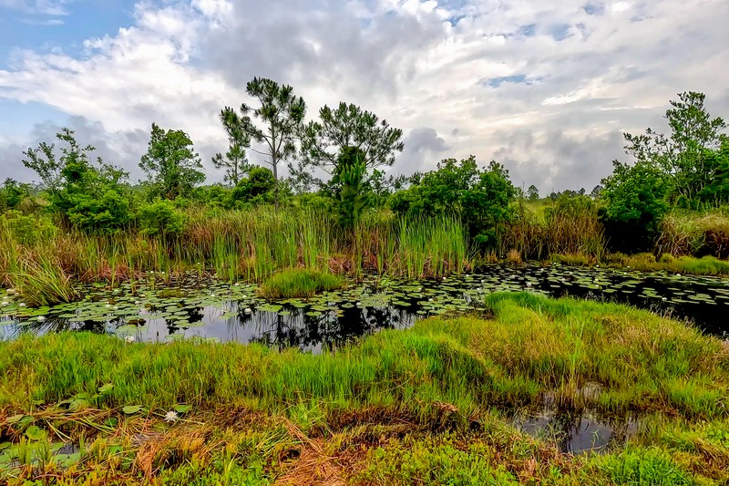 Gulf State Park