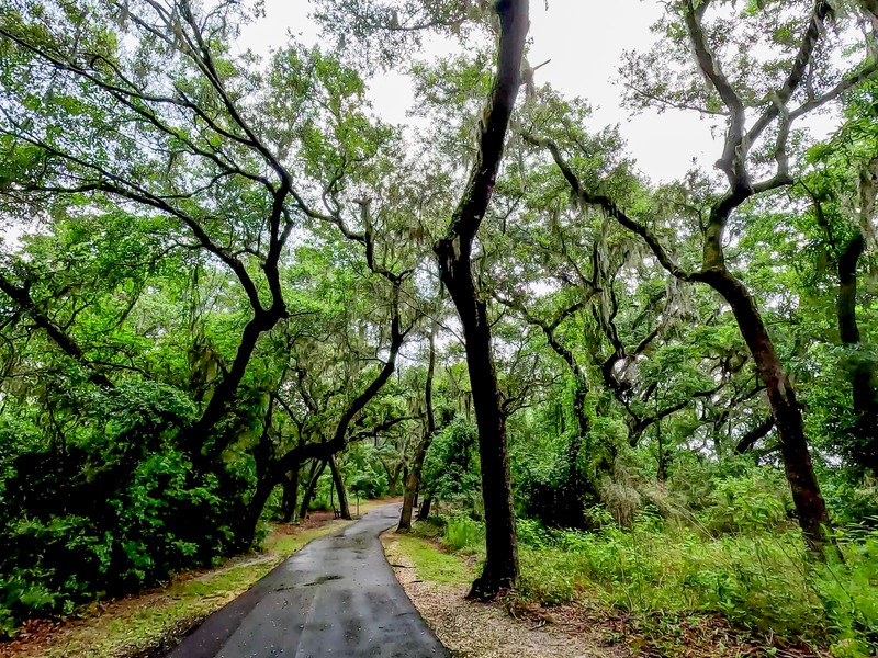 Hugh S. Branyon Backcountry Trail