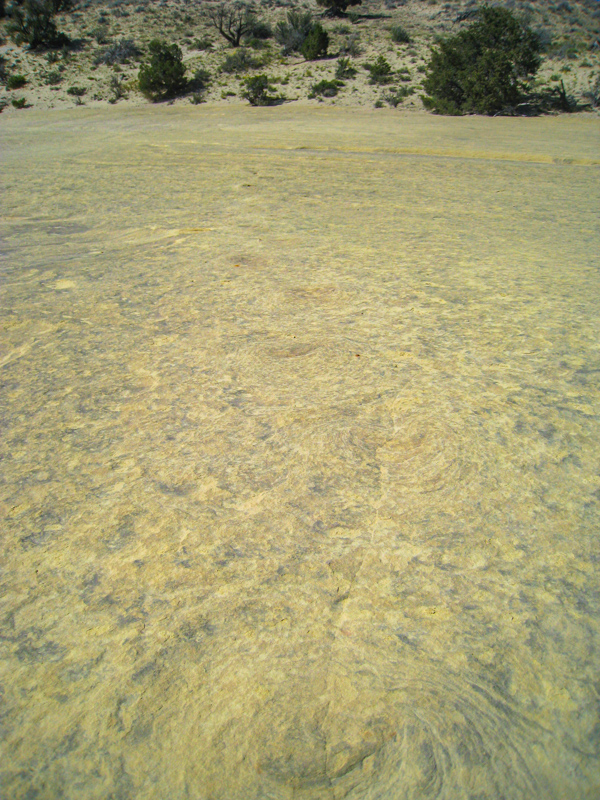 Twenty Mile Dinosaur Trackway