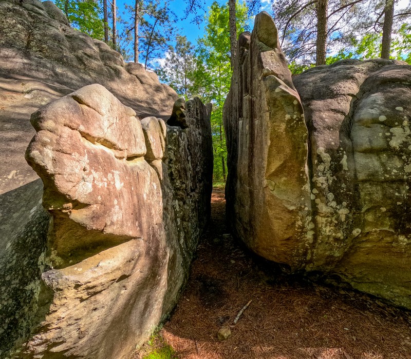 Horse Pens 40
