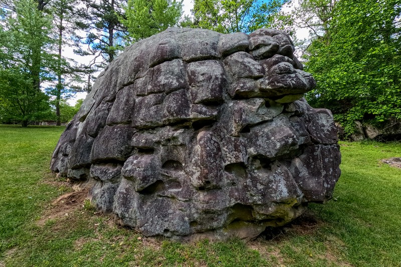 Horse Pens 40