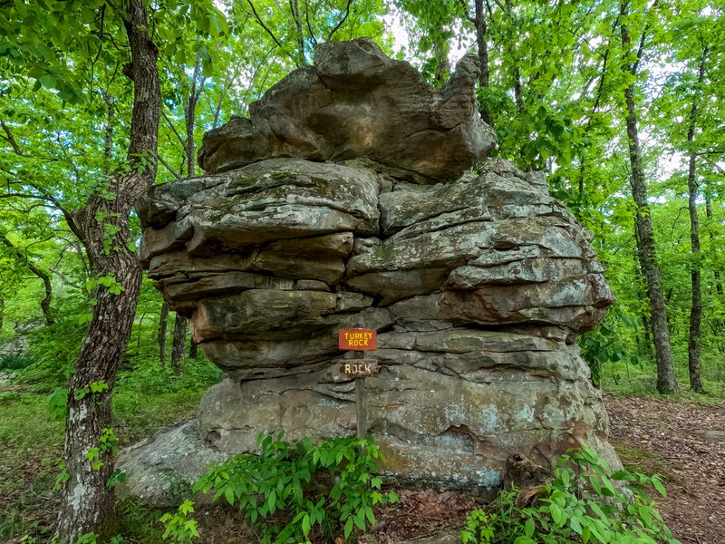 Turkey Rock
