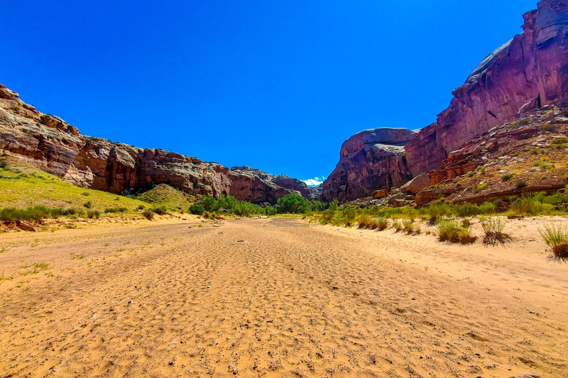 Horseshoe Canyon