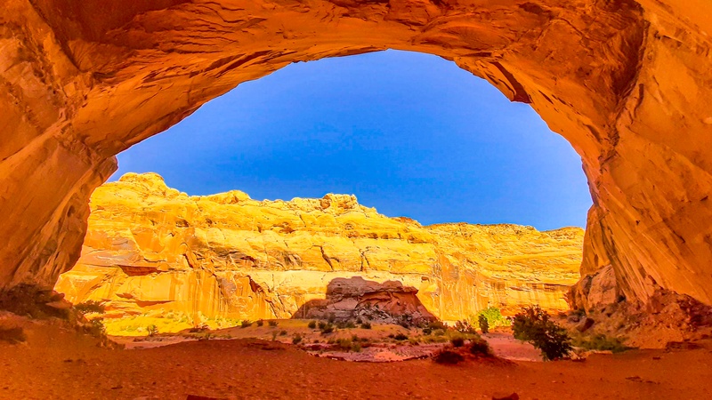 Alcove