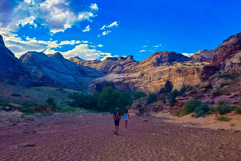 Horseshoe Canyon
