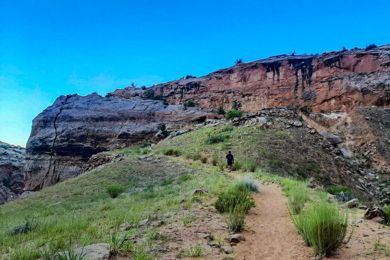 Horseshoe Canyon