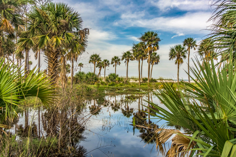 Hunting Island Lagoon