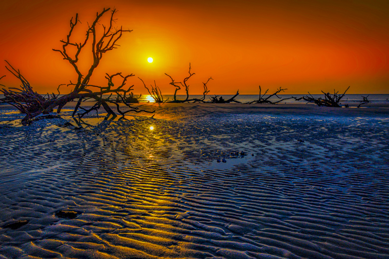 Hunting Island Boneyard Beach