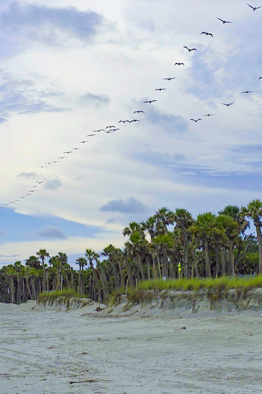 Hunting Island Beach