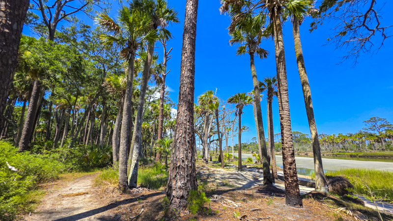 Hunting Island Trails