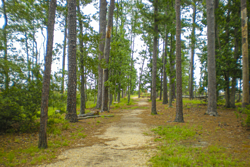 Black Point Trail