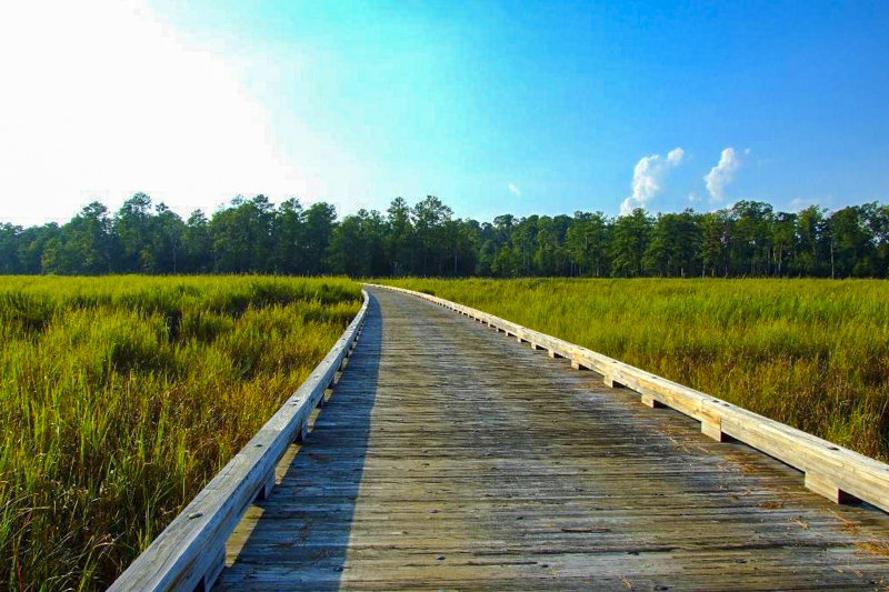 Island Loop Drive