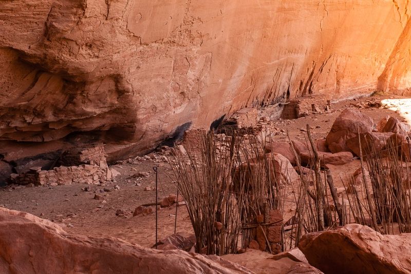 Kane Gulch