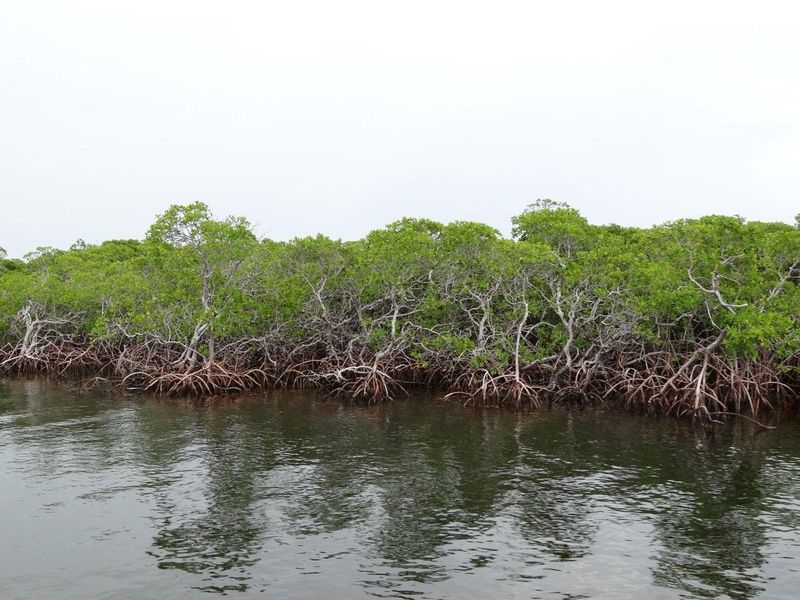 John Pennekamp Coral Reef State Park