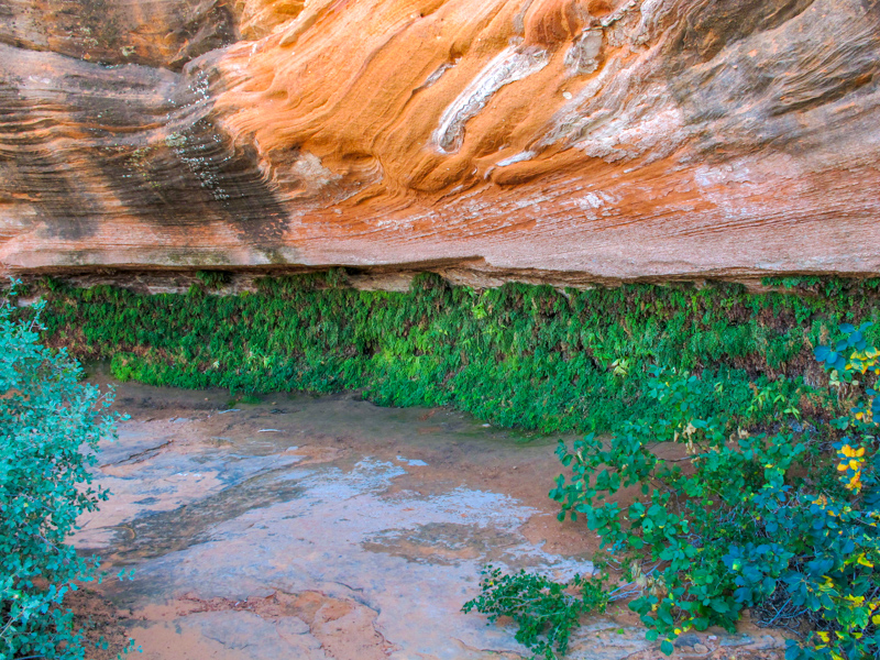 Hanging Gardens
