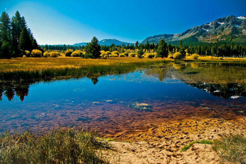 Taylor Creek