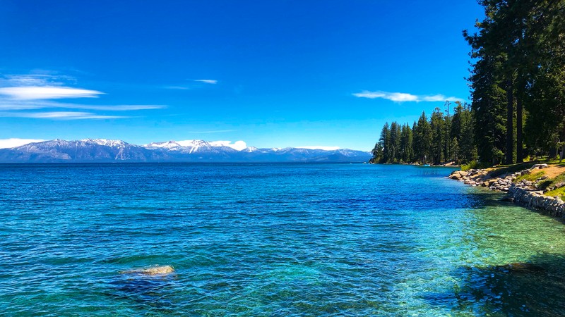 Sugar Pine Point SP