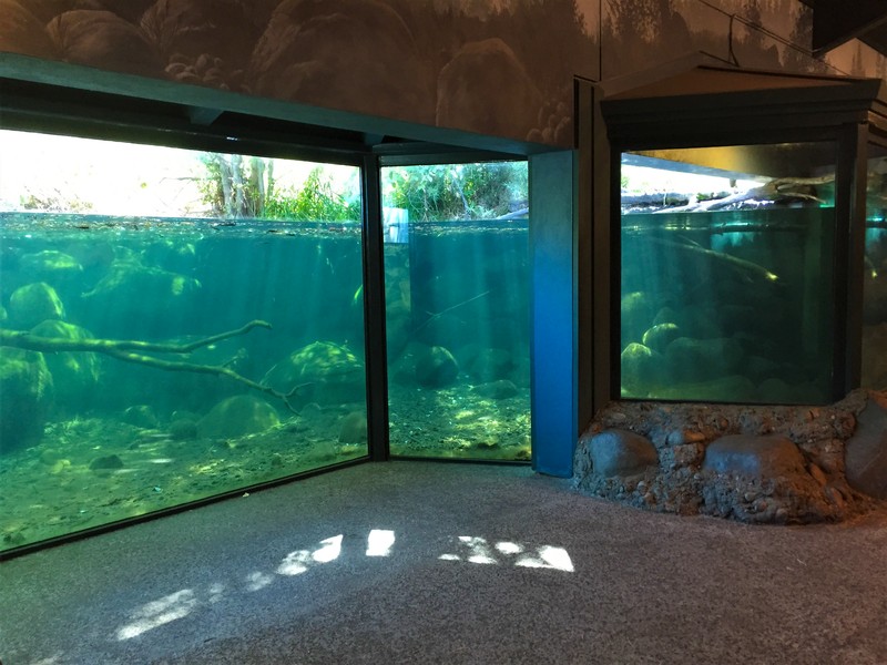 Stream Profile Chamber