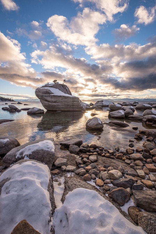 Bonsai Rock