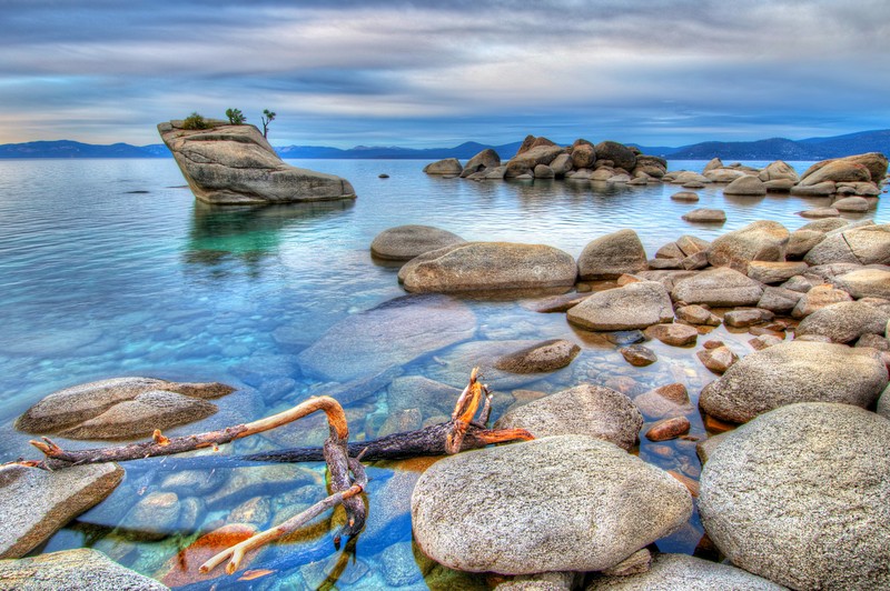 Bonsai Rock