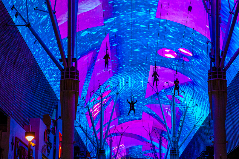 SlotZilla Zipline