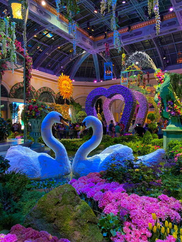 Bellagio Conservatory & Botanical Gardens