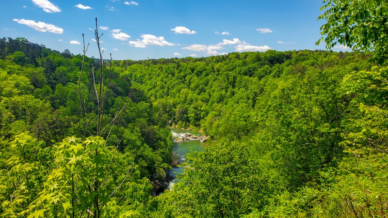 Lynn Overlook
