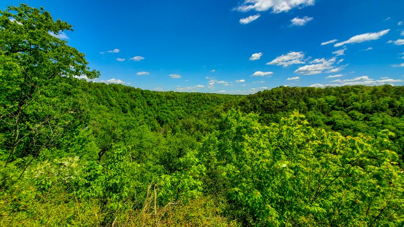 Hawks Glide Overlook