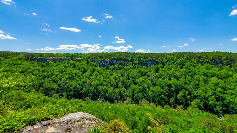 Canyon View