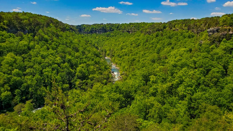 Canyon View