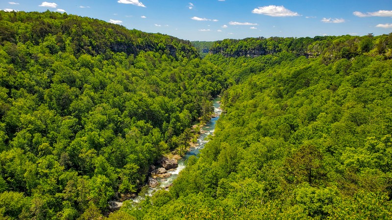 Wolf Creek Overlook