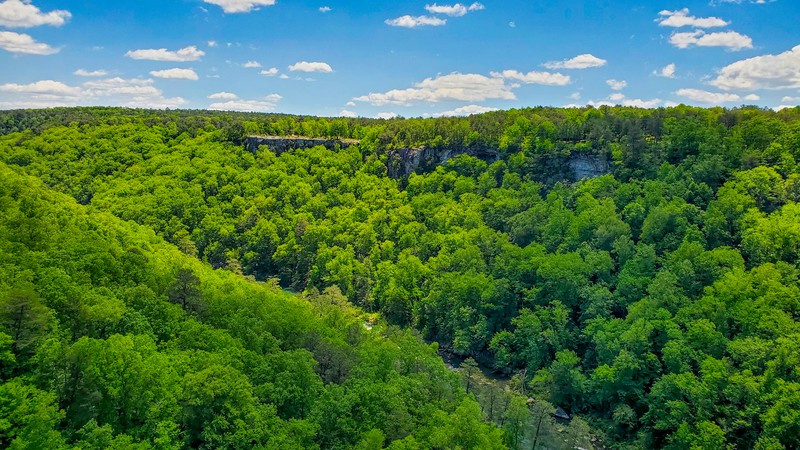 Wolf Creek Overlook