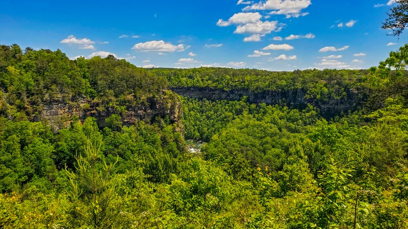 Eberhart Point Overlook