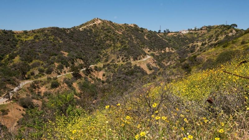 Runyon Canyon Park