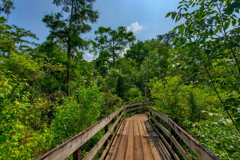 Visitor Center Trail