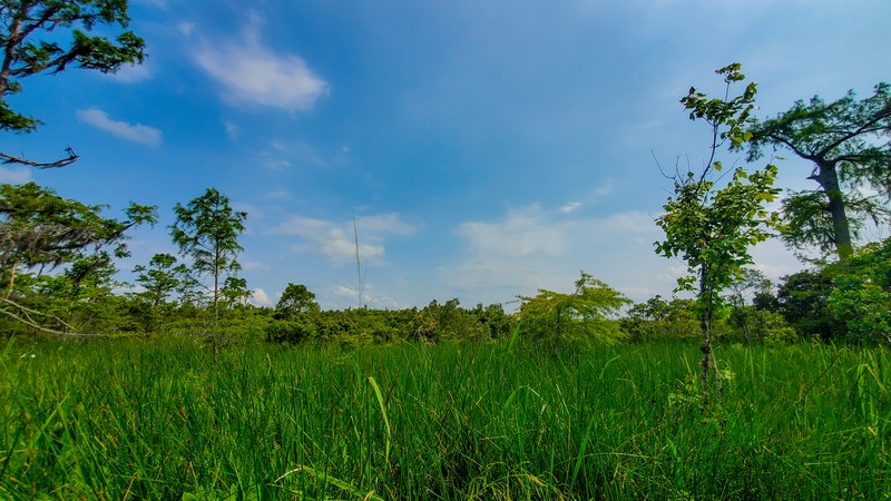 Visitor Center Trail