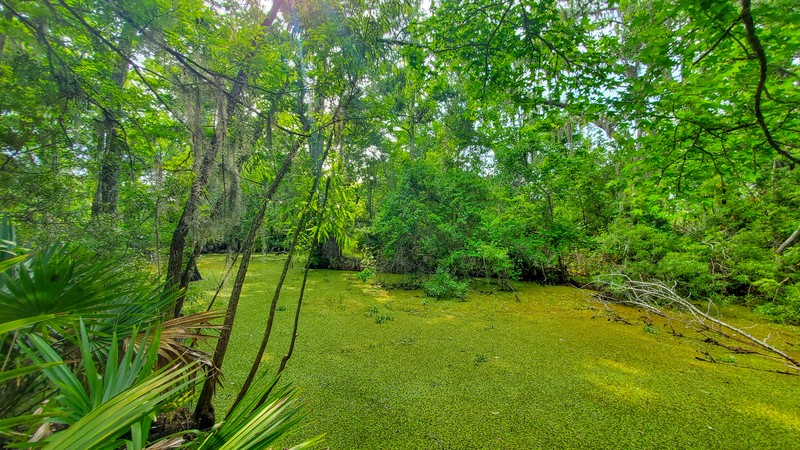 Bayou Coquille Trail
