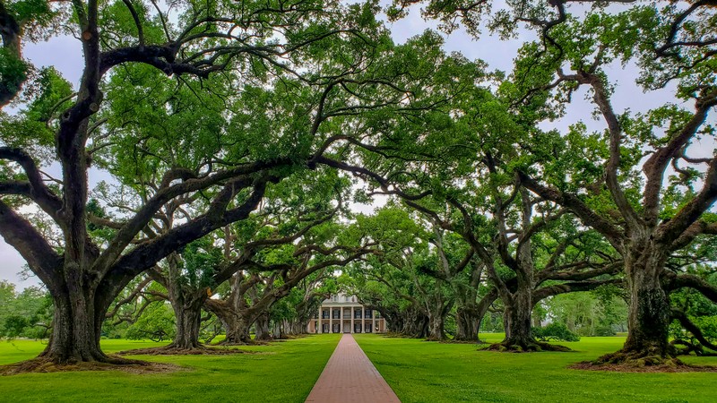 Oak Alley Plantation