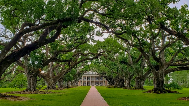 Oak Alley Plantation