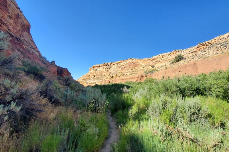 Butler Wash
