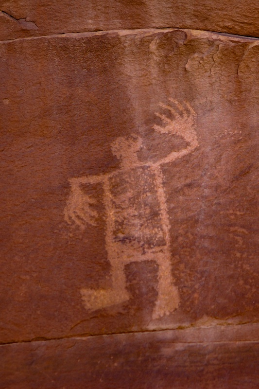 Wolfman Panel