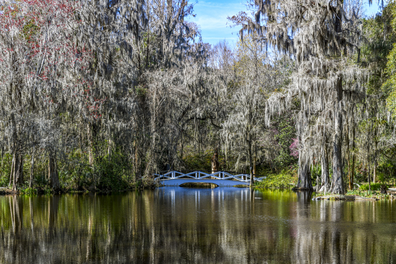 Big Cypress Lake