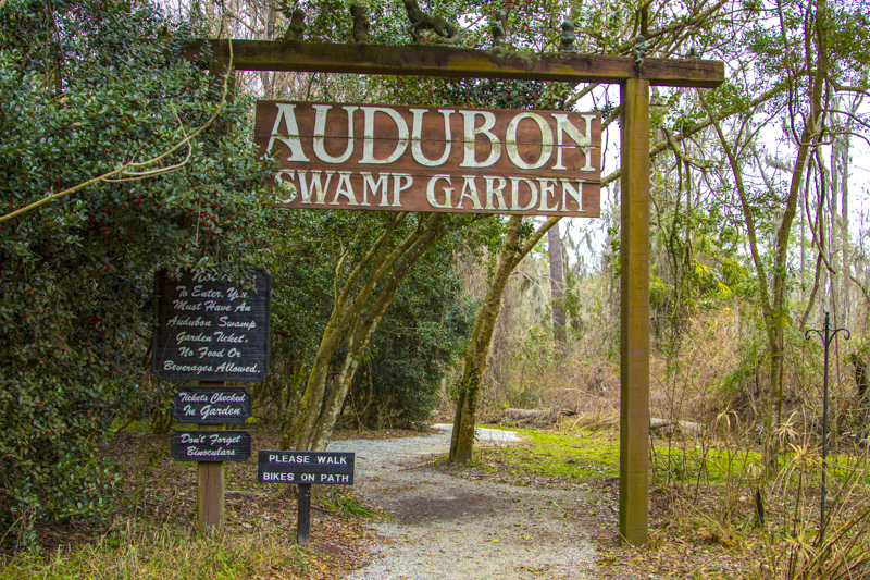Audubon Swamp Garden