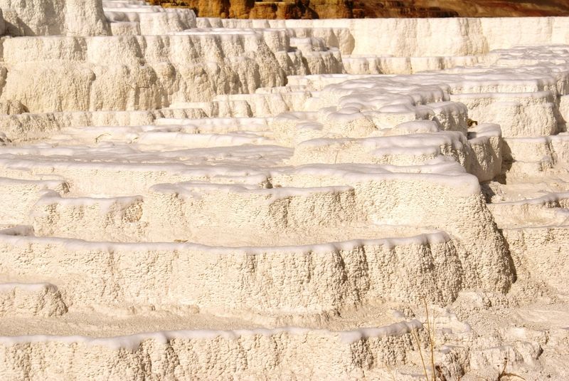 Palette Spring