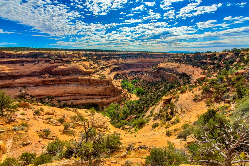 McCloyd Canyon