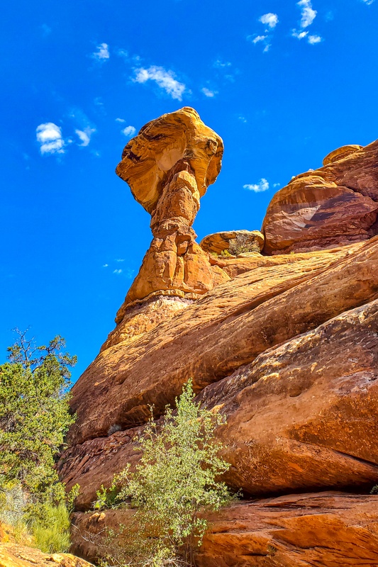 Moon House Hoodoo